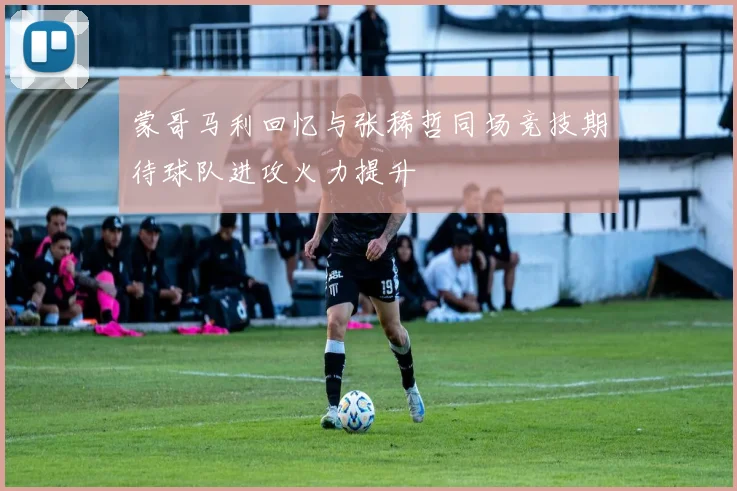 蒙哥马利回忆与张稀哲同场竞技期待球队进攻火力提升